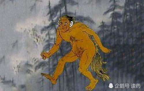 山海经吃瓜视频,揭秘神秘传说，跟随吃瓜视频探寻异域奇观