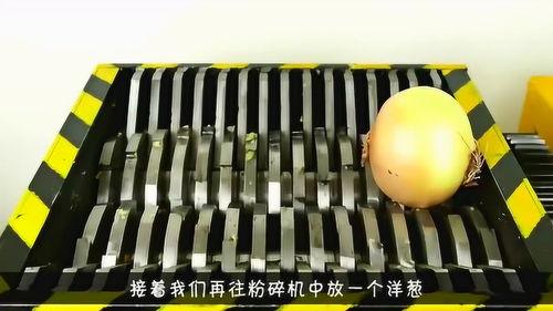 吃瓜粉碎机,吃瓜粉碎机带你直击真相风暴