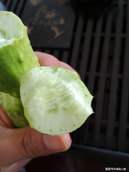 如何吃白玉瓜,解锁美味新境界