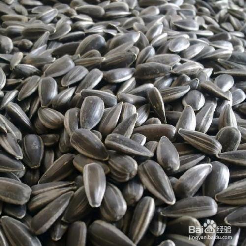 吃瓜可以吃瓜子瓤吗,瓜子瓤也能吃？揭秘瓜果食用新风尚