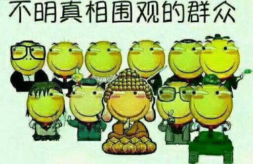 吃瓜群众小饭桶,揭秘娱乐圈那些事儿