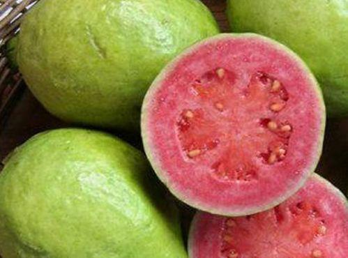 栗瓜适合孕妇吃吗晚期吃,栗瓜的营养益处与适宜食用指南