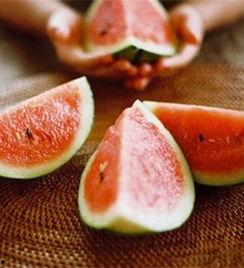 花朵吃瓜小组,揭秘植物界的趣味生活