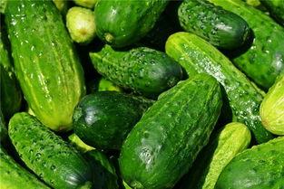 梦里吃瓜合集,一场奇幻的梦境美食之旅