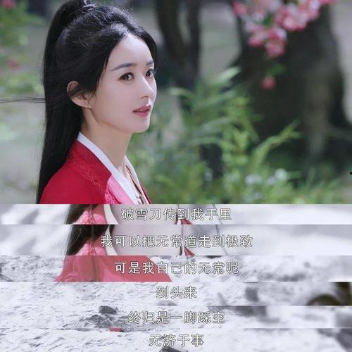 吃瓜追剧遮天,揭秘遮天背后的精彩故事