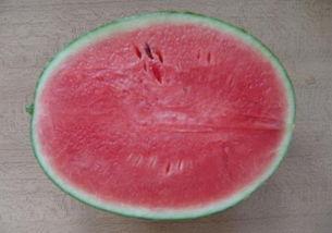 怎么做吃瓜牌,轻松成为瓜界达人