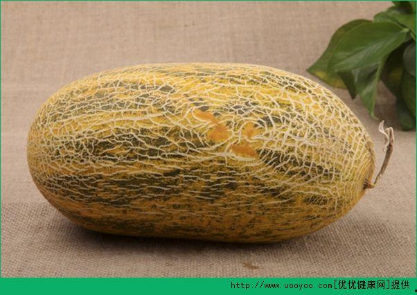 喂牛吃哈密瓜,绿色养殖新篇章