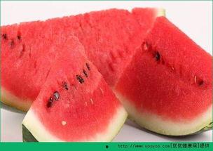 海鲜瓜如何吃,探索海洋美味新境界