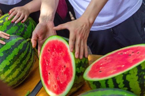 全国各大学吃瓜群,校园生活趣味横生，青春记忆别样精彩