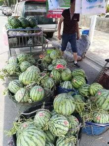 西安骡马市吃瓜事件,一场引发热议的街头冲突