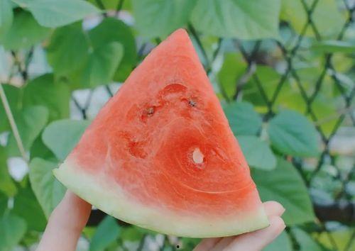 吃矮瓜升血糖吗,矮瓜食用对血糖影响解析