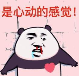 msi和吃瓜的区别,揭秘两种截然不同的网络现象