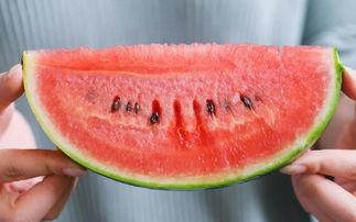 杭州ft吃瓜,一场吃瓜群众的狂欢盛宴