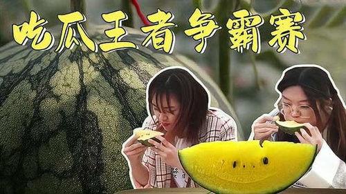 吃瓜解说者,吃瓜解说者的幕后故事