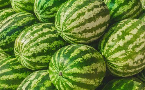 福州游神吃瓜,揭秘城市美食背后的故事与趣闻 第3张 福州游神吃瓜,揭秘城市美食背后的故事与趣闻 第3张