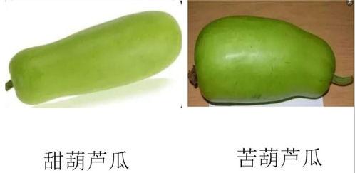 淄博范冉冉吃瓜,揭秘网络舆论背后的真相 第2张 淄博范冉冉吃瓜,揭秘网络舆论背后的真相 第2张