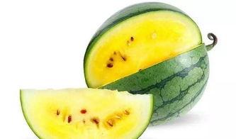 西瓜jun吃瓜视频,揭秘娱乐圈幕后故事  第2张