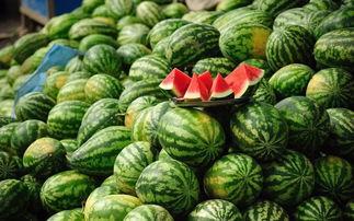 背着锅吃瓜,揭秘背着锅吃瓜的独特风情  第2张