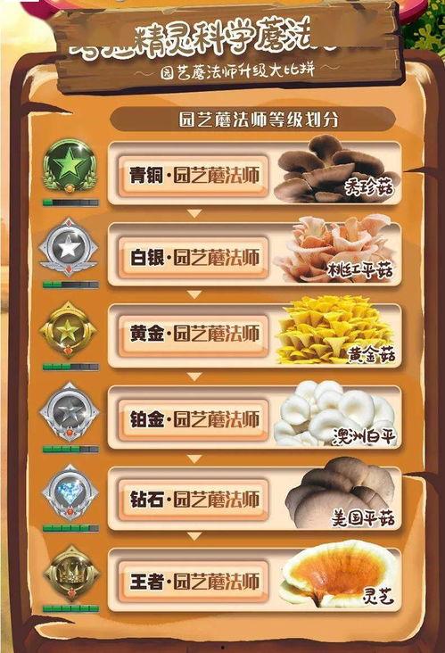 带你吃瓜之盲盒,趣味与惊喜并存的新潮流 第3张 带你吃瓜之盲盒,趣味与惊喜并存的新潮流 第3张