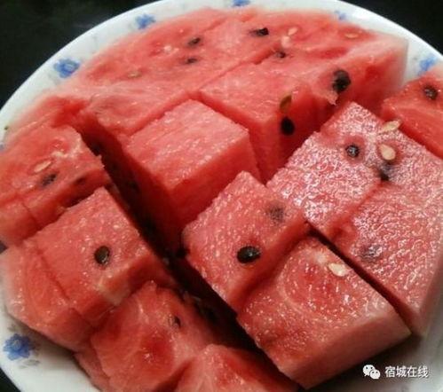 羊可以吃洋瓜吗,探究羊的饮食与健康 第3张 羊可以吃洋瓜吗,探究羊的饮食与健康 第3张