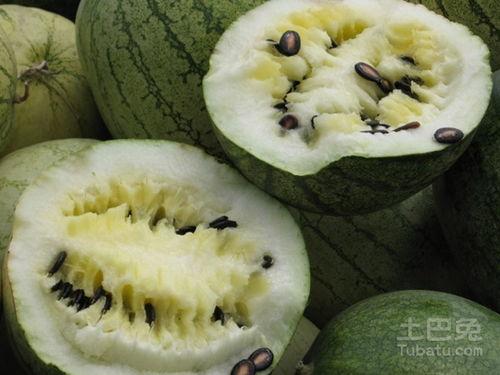 精神分裂吃籽瓜有好处吗,探寻食疗新途径 第2张 精神分裂吃籽瓜有好处吗,探寻食疗新途径 第2张