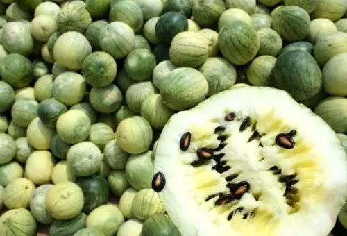 精神分裂吃籽瓜有好处吗,探寻食疗新途径 第3张 精神分裂吃籽瓜有好处吗,探寻食疗新途径 第3张