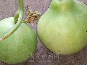 吃瓜趣事大c,揭秘娱乐圈幕后花絮 第3张 吃瓜趣事大c,揭秘娱乐圈幕后花絮 第3张