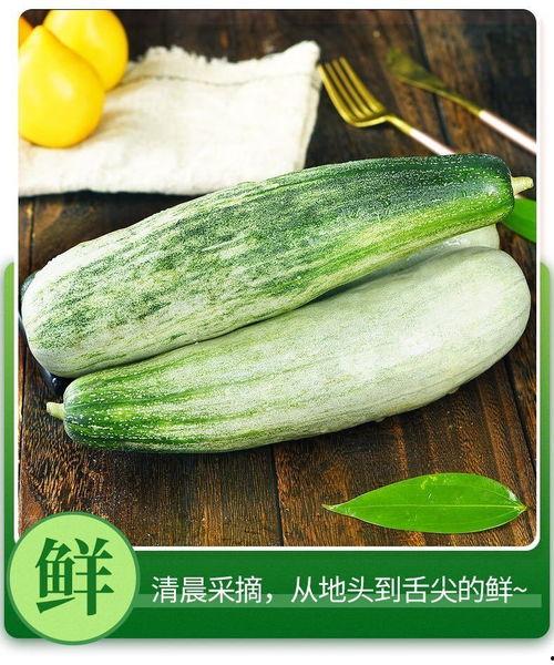 吃瓜新鲜应季水果,吃瓜新鲜,尽享应季水果美味 第2张 吃瓜新鲜应季水果,吃瓜新鲜,尽享应季水果美味 第2张