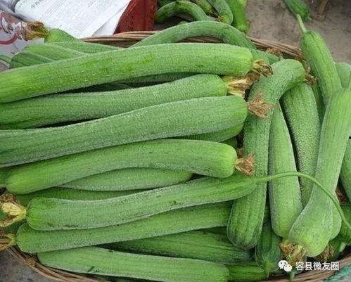 吃瓜的人喜欢被吃瓜吗