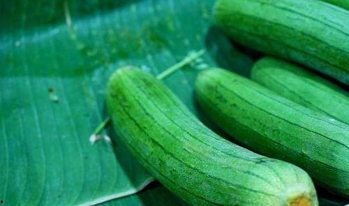 女人每天吃三瓜 第2张 女人每天吃三瓜 第2张