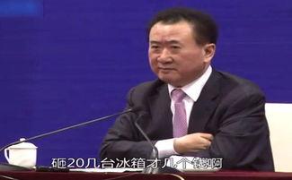 吃瓜群众王健林,吃瓜群众的财富传奇 第2张 吃瓜群众王健林,吃瓜群众的财富传奇 第2张